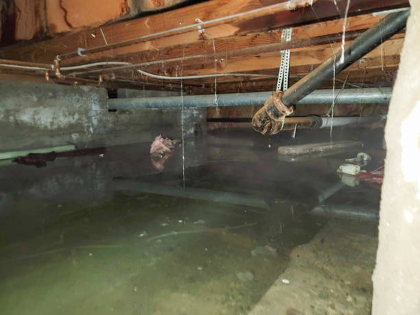 Best Water damage contractors near me  in Lake Barcroft, VA