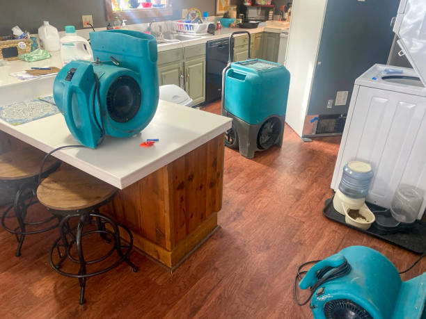Best Mold removal after water damage  in Lake Barcroft, VA
