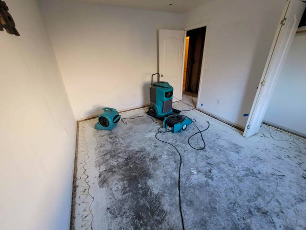 Best Mold removal after water damage  in Lake Barcroft, VA