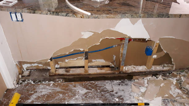 Best Local water damage restoration  in Lake Barcroft, VA