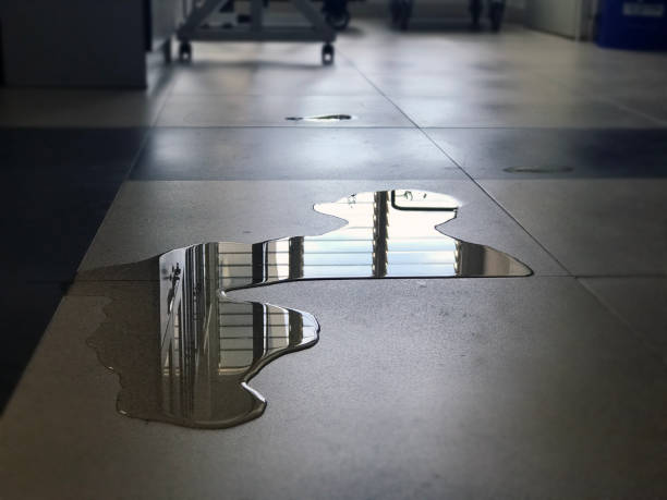 Best Carpet water damage restoration  in Lake Barcroft, VA