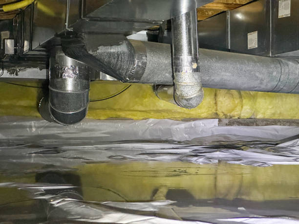 Best Professional water damage repair  in Lake Barcroft, VA