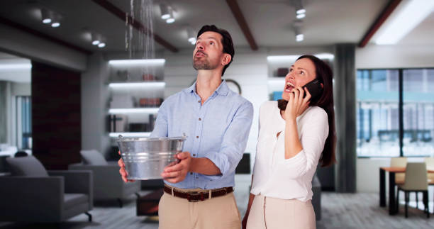 Best Fire Damage Restoration  in Lake Barcroft, VA