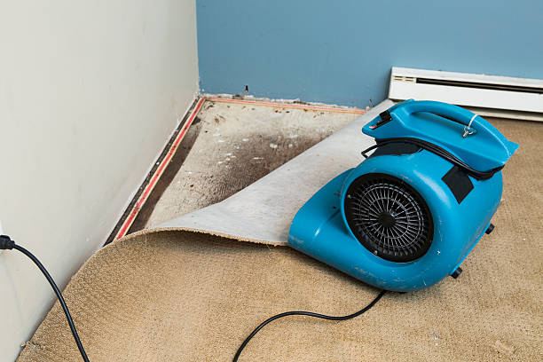 Best Water damage cleanup near me  in Lake Barcroft, VA