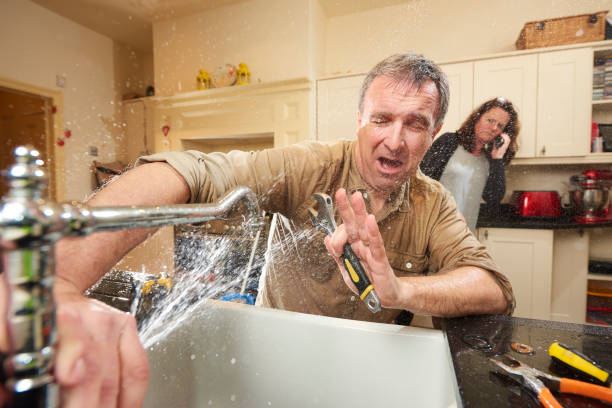 Best Sewage cleanup and water damage restoration  in Lake Barcroft, VA